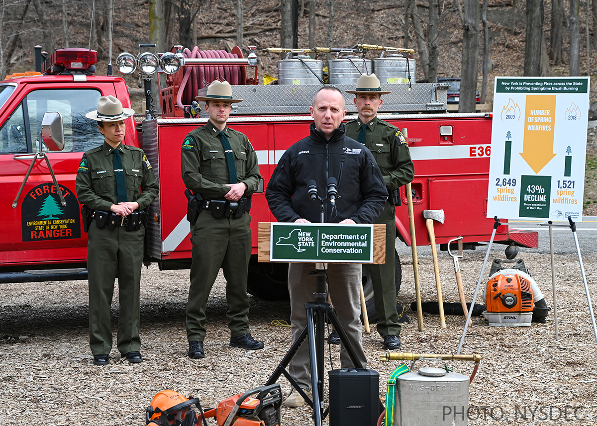 Forest Rangers