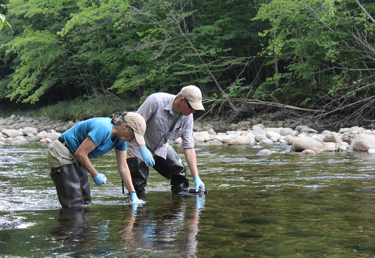 Water sampling - Ausable River - Keene