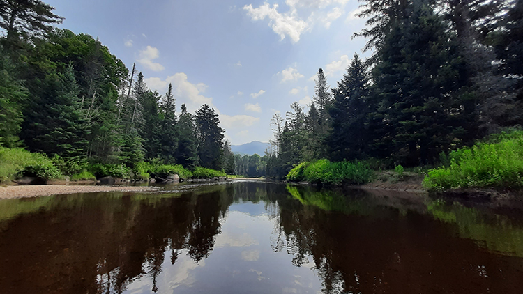 Ausable River - Wilmington