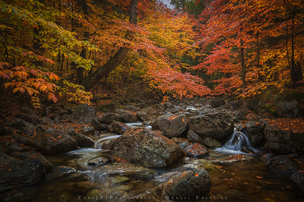 Falling_For_Gills_Brook_Manuel_Palacios