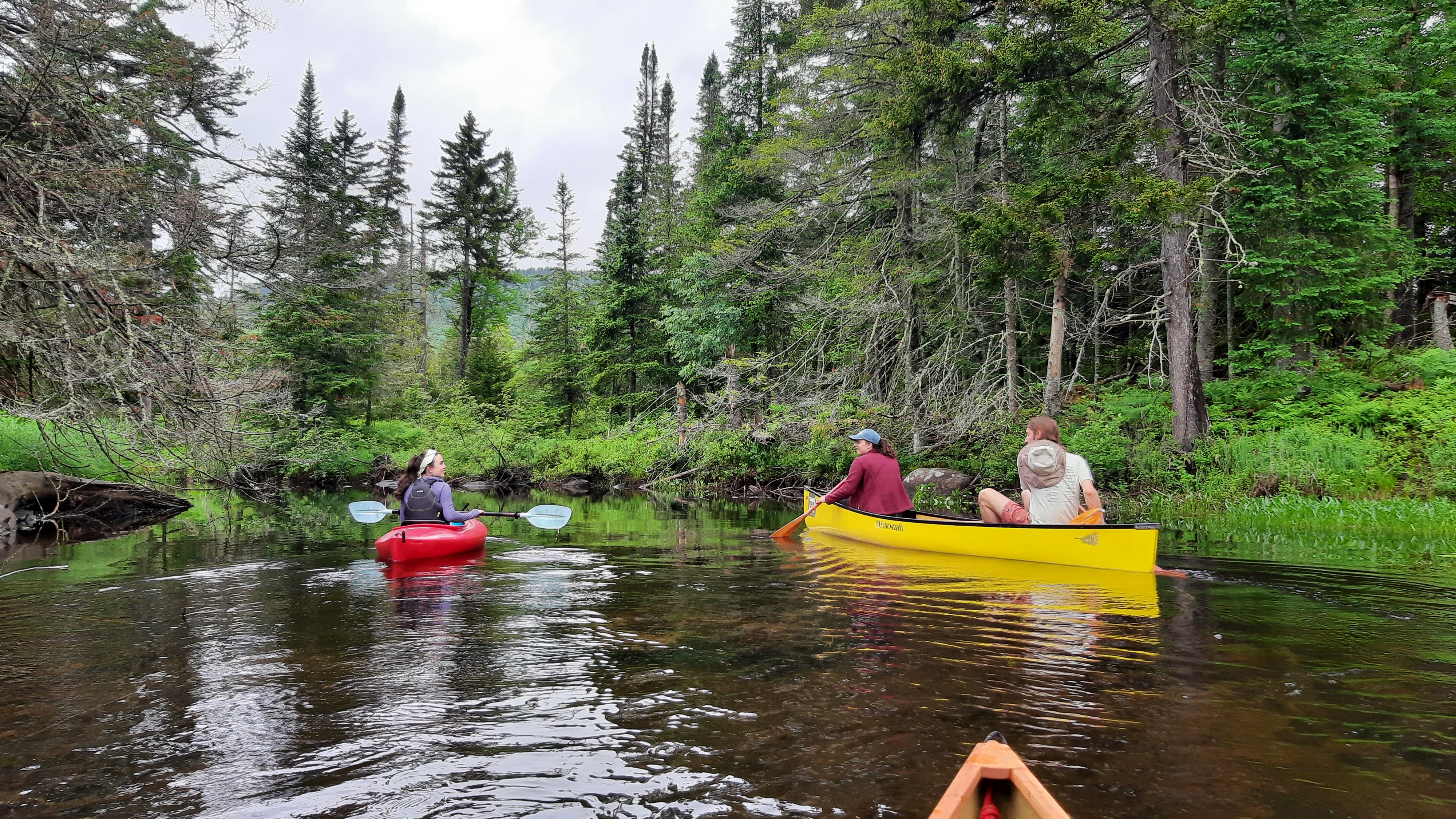 Paddling on the Marion River