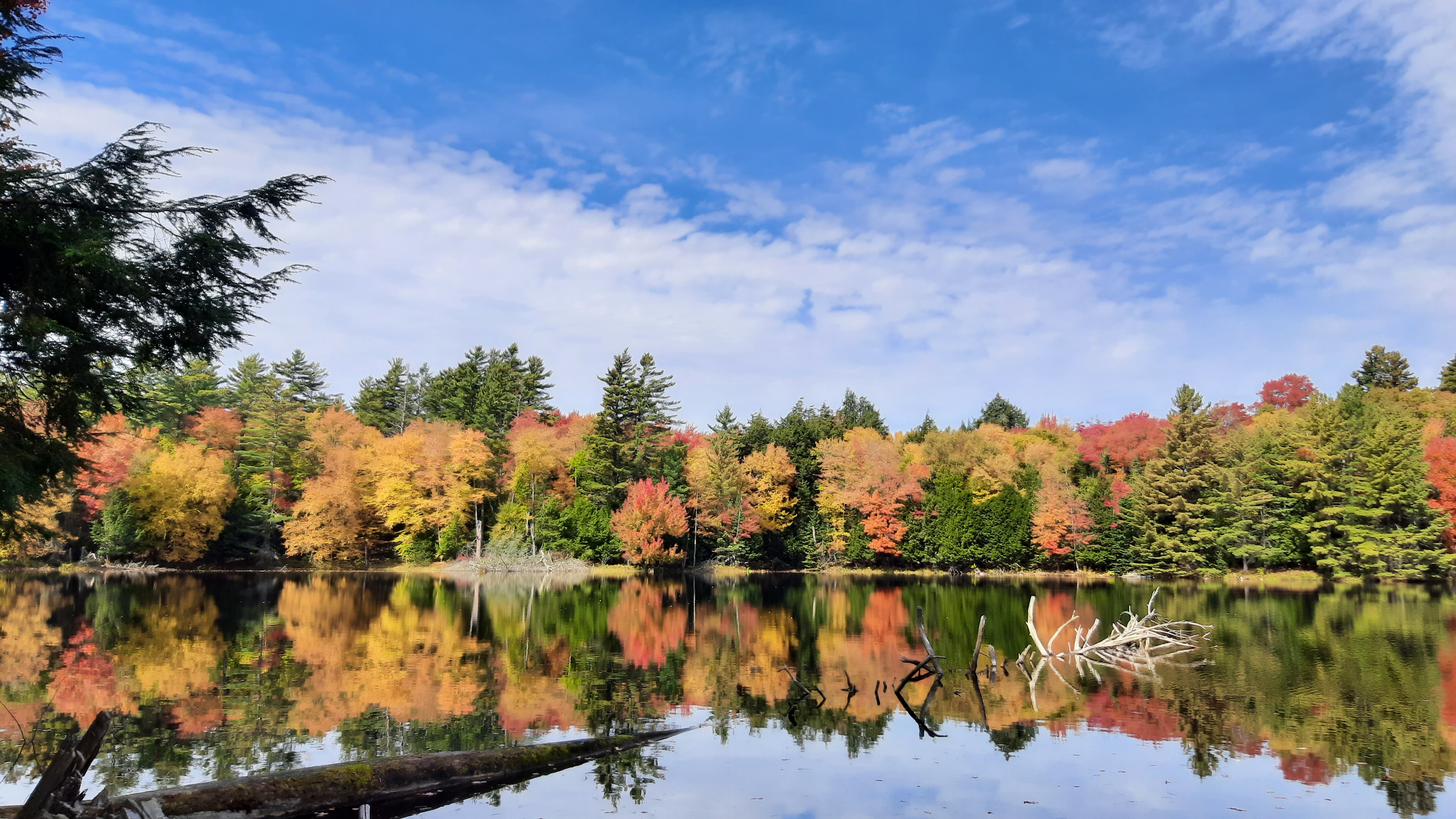 Fall foliage reflected in Church Pond near Paul Smiths in the Adirondacks