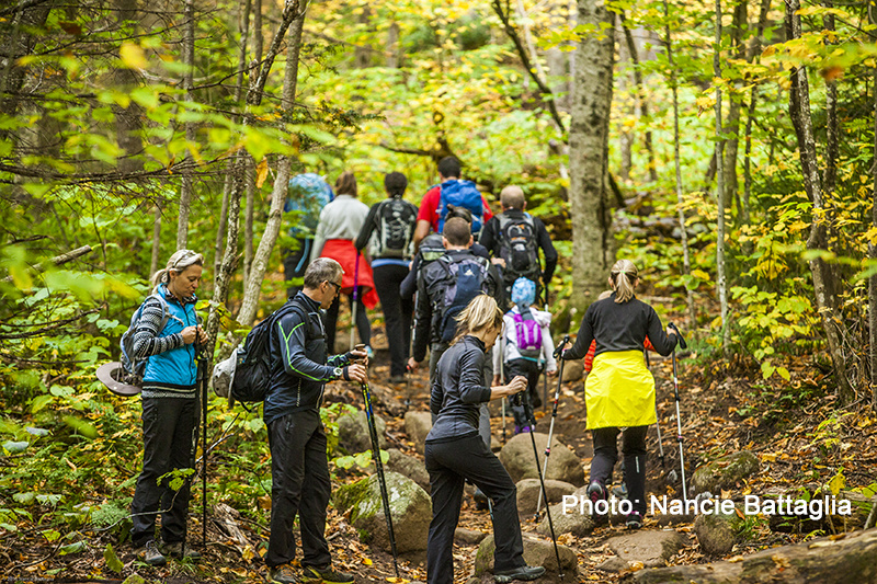 lots of hikers on a trail