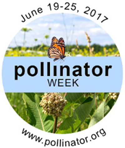 Uploaded Image: /vs-uploads/pollinator-blog/PW_thumbnail.jpg