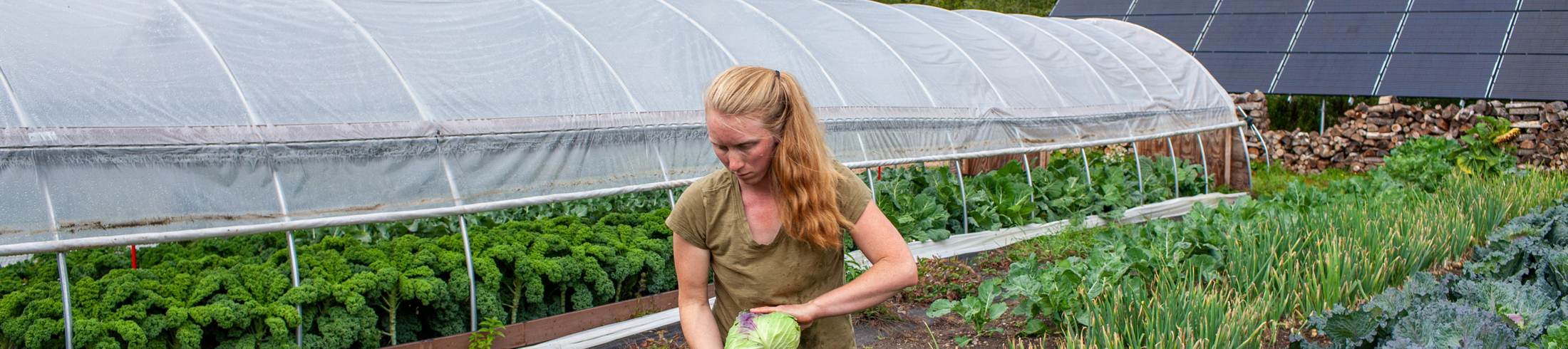 Micro-Grants for Adirondack Working Lands