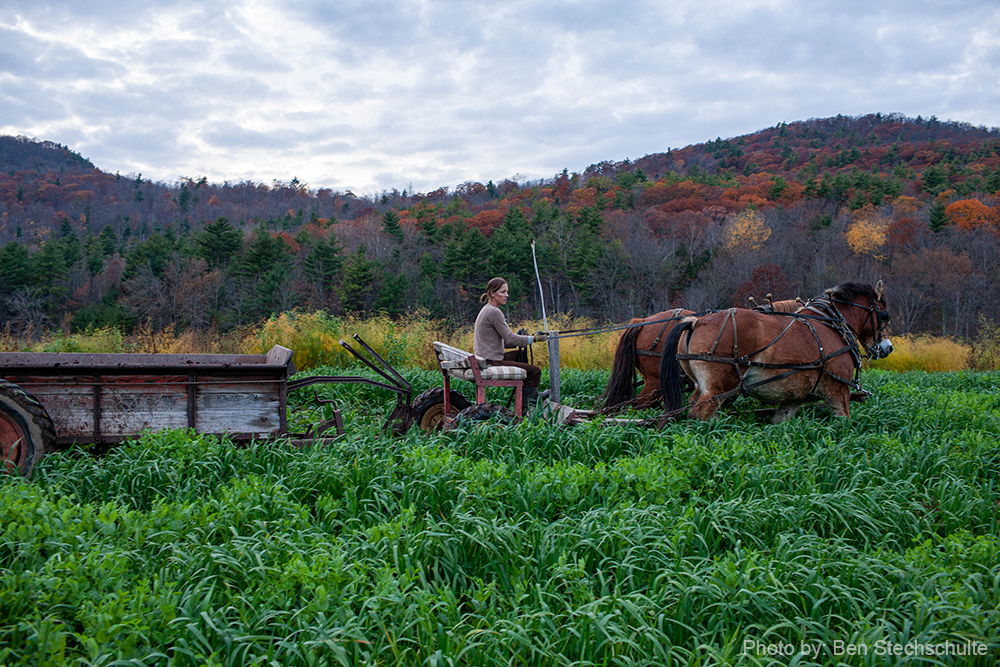 Uploaded Image: /vs-uploads/soilblog/Horse_power_Full_and_By_Farm_Ben_Stechschulte.jpg