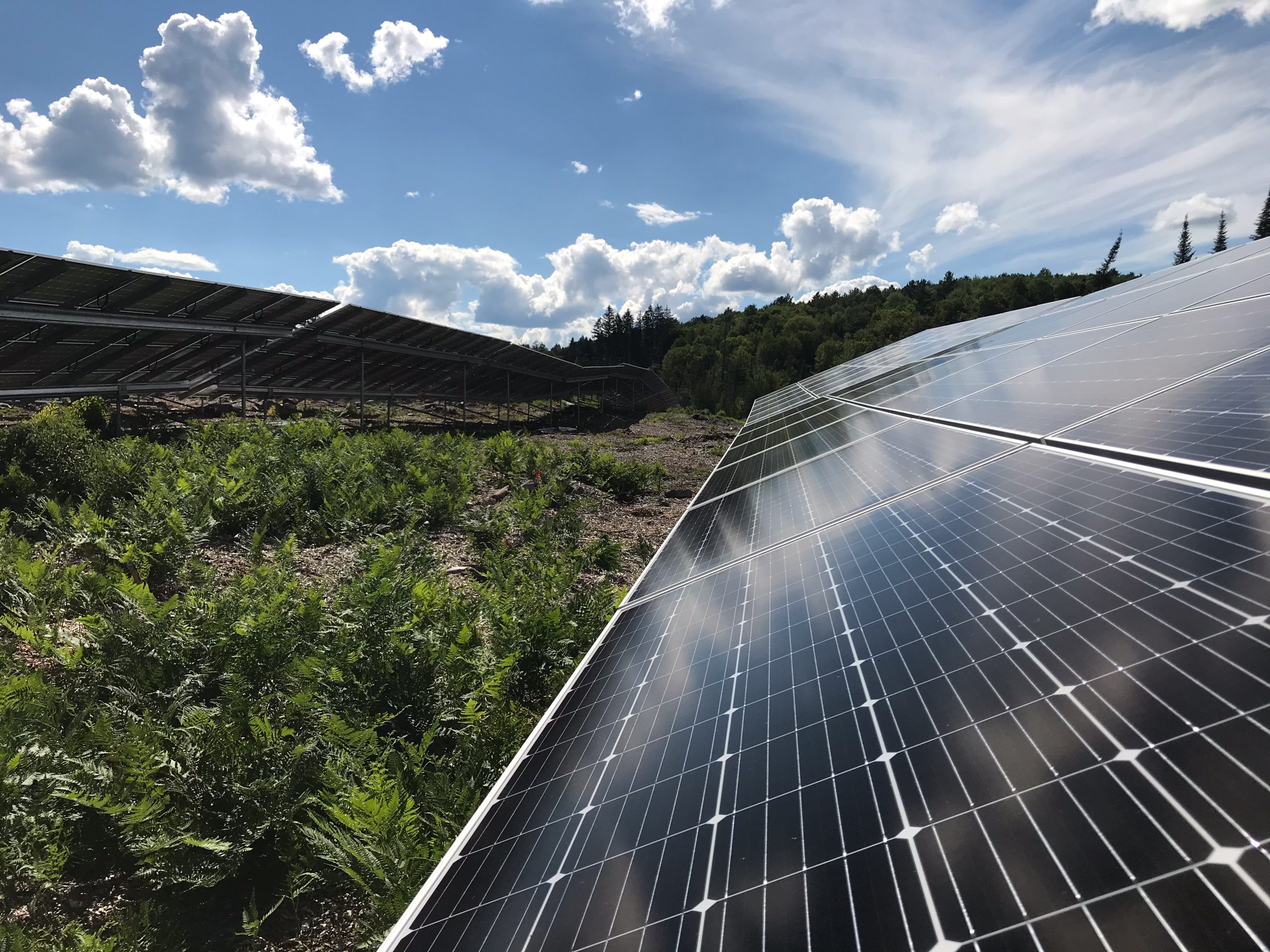 Solar farm in Saranac Lake