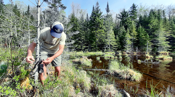 Adirondack Park Conservation